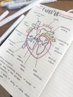 an open notebook with a diagram of the human heart on it and markers next to it