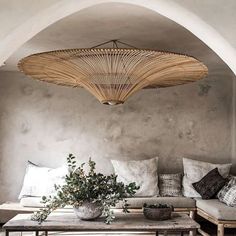 a living room filled with lots of furniture and plants on top of a wooden table