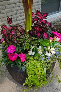 a potted planter filled with lots of flowers