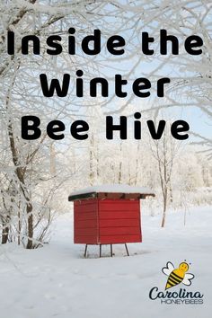 a red beehive sitting in the snow next to trees with text that reads inside the winter bee hive