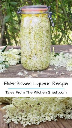 elderflower liquer recipe in a mason jar