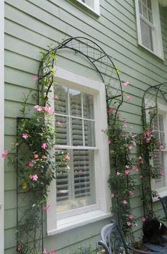 an arched window with pink flowers on the side of it and a cat sitting in front