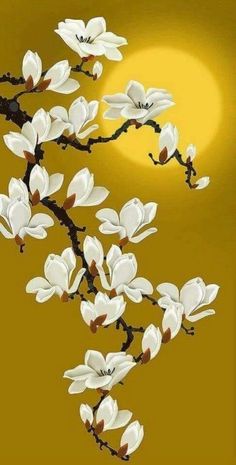 a branch with white flowers on it against a yellow background