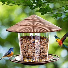 two birds are eating from a bird feeder