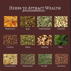 Herbs For Wealth, Money Herbs, Witchcraft Herbs, Magickal Herbs, Witch Herbs, Traditional Witchcraft, Spell Work