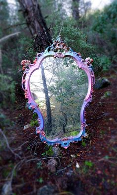 a mirror sitting in the middle of a forest