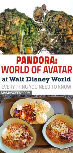 pandora world of avatar at walt world with text overlay that reads, what do you need to know?