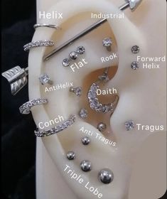 Parts Of The Ear To Pierce, Peicing Ideas Ear Names, Eat Pericing Ideas Names, Piercing That Helps With Headaches, Eat Piecing Ideas, Ears Filled With Piercings, Ear Pierce Chart, Cool Ear Piercings Baddie, Piecerings Ideas