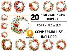 20 high quality floral clipart poppy flowers commercial use included