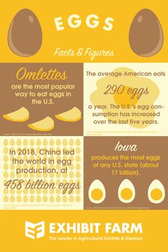 Egg Facts, Ways To Cook Eggs, Egg Benefits, Cook Eggs, Food Holidays, Cool Facts, Activity Director, Back Stretches For Pain, Lower Back Pain Exercises