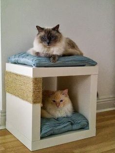 two cats are sitting on top of a small table with blue blankets and pillows in it