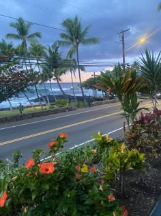 some plants and flowers on the side of the road by the ocean at dusk with palm trees in the background