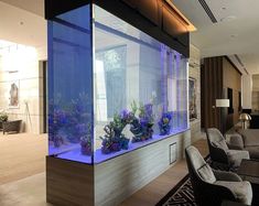 a living room filled with furniture and an aquarium