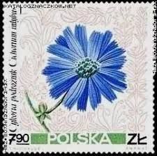 a postage stamp with a blue flower on it