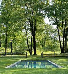 an empty pool in the middle of a grassy area surrounded by trees and fenced in areas