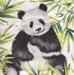 a panda bear eating bamboo leaves in front of white background with black and green accents