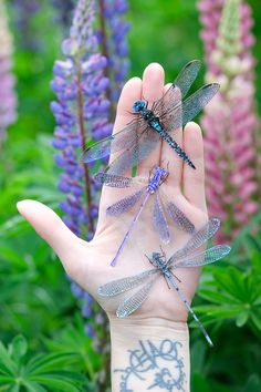 three dragonflys sitting on the palm of a person's hand in front of purple flowers