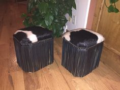 two black and white stools sitting on top of a wooden floor next to a potted plant