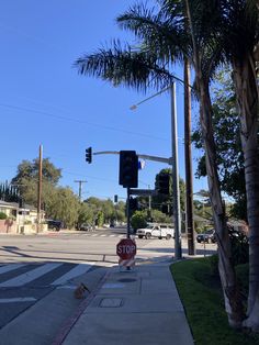 a stop sign at an intersection with palm trees in the foreground and a street light above it