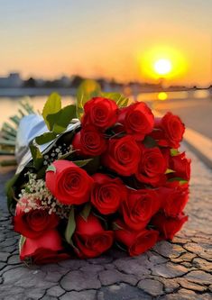 a bunch of red roses sitting on the ground