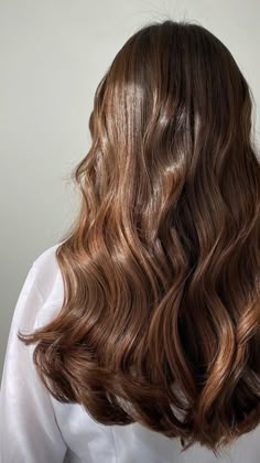 Soft Healthy Hair, Golden Brown Hair, Chestnut Hair, Glossy Hair, Hair Inspiration Color