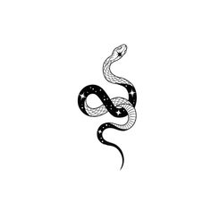 a black and white snake with stars on it's head, in the shape of a