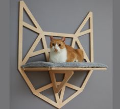 an orange and white cat sitting on top of a wooden shelf with a blue cushion