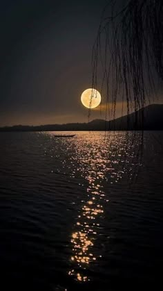 the sun is shining brightly in the dark sky over water with branches hanging from it