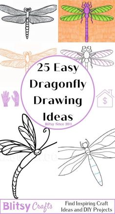 the 25 easy dragonfly drawing ideas for kids