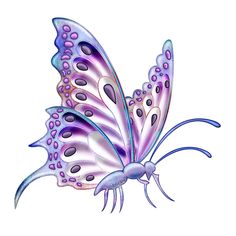 a purple and blue butterfly flying in the air with its wings spread out, on a white background