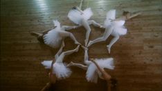 several ballet dancers in white tutus are arranged on the floor