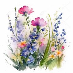 watercolor painting of wildflowers and lavender flowers