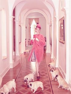 Pack Mentality: Dogs in Fashion ⋆ Wear Wag Repeat Natalie Clifford Barney, Princess Photoshoot, Preppy Art, Mert And Marcus, Floral Lampshade, Stephanie Seymour, Patrick Demarchelier, Ellen Von Unwerth, Tim Walker