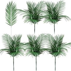 PRICES MAY VARY. Package Includes: a pack of 60 artificial palm leaves is enough for your daily use and replacement needs, the large tropical leaves decor is about 8 x 25 inches/ 20 x 63 cm, and the leaf is about 15 inches/ 37 cm in length, suitable and proper, the large quantity of palm leaves can be served as centerpieces, vase fillers, tropical bouquets, etc. Quality Material: the tropical simulated palm leaf is made of plastic material with clear lines on the surface, which looks very realis Tropical Leaf Decor, Fake Greenery, Jungle Beach, Artificial Palm Leaves, Safari Decor, Garden Centerpiece, Safari Wedding, Greenery Plants, Jungle Safari Party