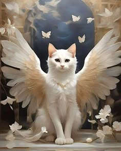 a white cat with wings sitting in front of a mirror