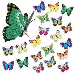 a group of colorful butterflies on a white background