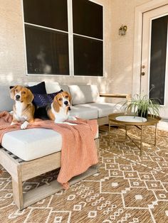 two dogs are sitting on a couch outside