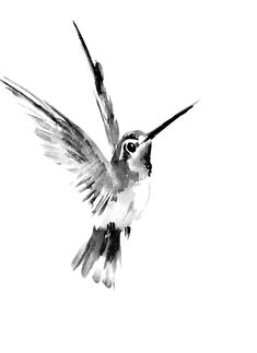 a black and white photo of a hummingbird in flight