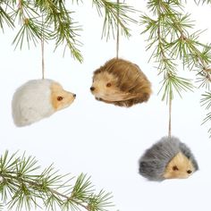 three hedgehog ornaments hanging from a pine tree