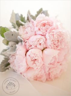 a bouquet of pink carnations and greenery