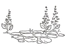 a drawing of flowers and rocks in the grass