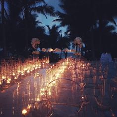 rows of candles are lit in front of palm trees