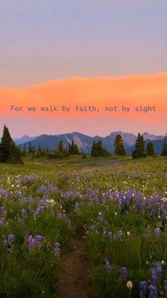 a field full of purple flowers with mountains in the background and a quote written on it