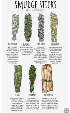 an illustrated guide to smudge sticks and how they are used for making them in different ways