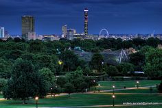 the city skyline is lit up at night, with trees and lights in the foreground