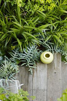 a green vase sitting on top of a wooden table surrounded by plants and greenery