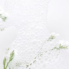 water bubbles and flowers on a white surface