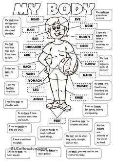 the body worksheet for kids to learn how to read and understand what it is