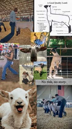 there are pictures of people and animals in this collage