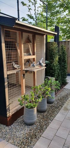 two birds sitting on top of a bird house next to plants and rocks in a garden